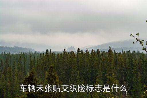 車輛未張貼交織險(xiǎn)標(biāo)志是什么