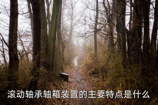 什么是軸箱軸承，什么是軸承