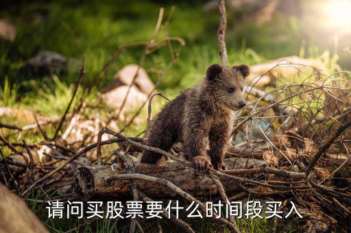 什么時(shí)候買(mǎi)入股票，請(qǐng)問(wèn)買(mǎi)股票要什么時(shí)間段買(mǎi)入