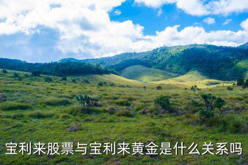 為什么寶利來大漲，寶利來會漲嗎