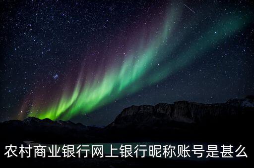 農村商業(yè)銀行網上銀行昵稱賬號是甚么