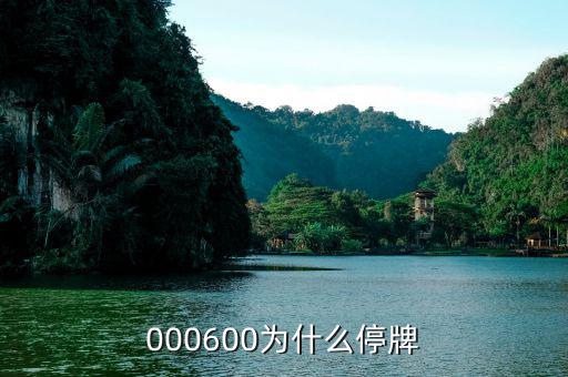 軟控股份為什么停牌，002399今天為什么停牌