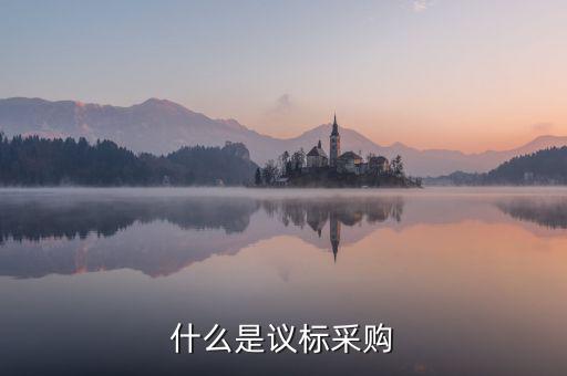 什么是議標(biāo)采購
