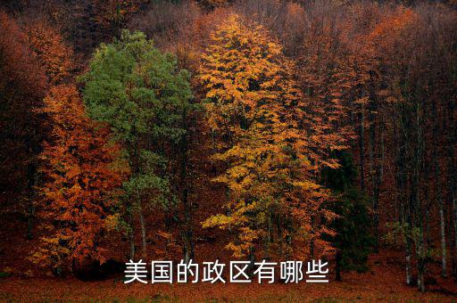 美國(guó)地方政府自治包括什么，美國(guó)的政府體制是什么