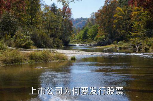 為什么發(fā)行股票，公司發(fā)行股票的原因
