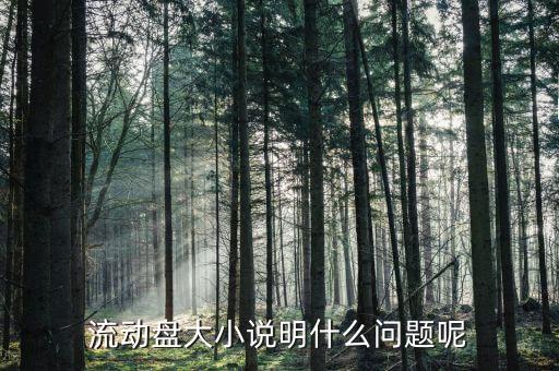 流通盤大小是什么意思，流通盤大小作用等