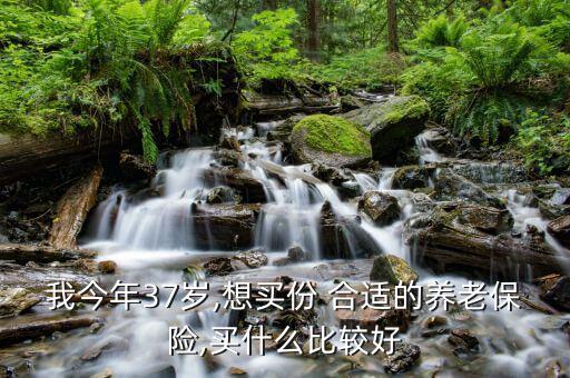 本人37歲要交社保怎么交合適,買(mǎi)養(yǎng)老保險(xiǎn)需要考慮哪些因素?