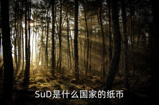 sud是什么貨幣，SUD是什么貨幣單位
