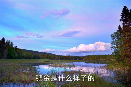 怎么才能認出是鈀金,黃金、鉑、鈀、銀四大金屬品種含量較低