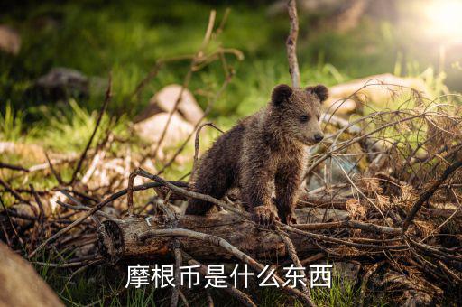 魔根幣是怎么運(yùn)作的,理財在線｜羅清全】什么是虛擬貨幣?