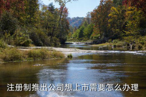 注冊制上市要什么條件，注冊制推出公司想上市需要怎么辦理