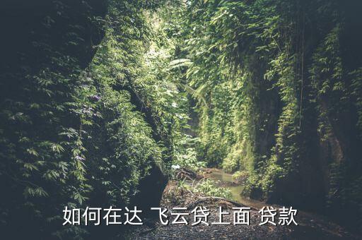 達(dá)飛云貸怎么樣可以貸款嗎,申請(qǐng)小額貸款需要幾個(gè)步驟