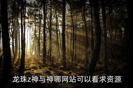  龍珠z神與神哪網站可以看求資源