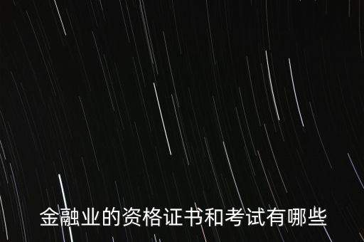  金融業(yè)的資格證書(shū)和考試有哪些