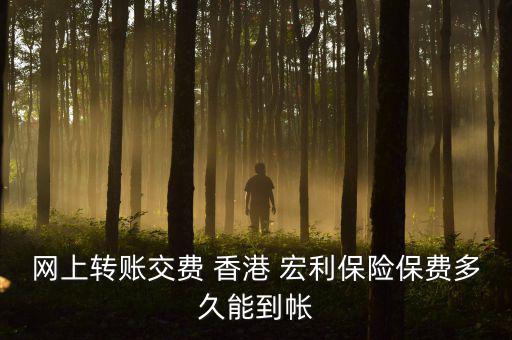 網上轉賬交費 香港 宏利保險保費多久能到帳