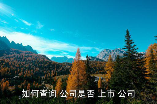 怎么查看公司是否上市,上市公司有哪些優(yōu)勢(shì)?
