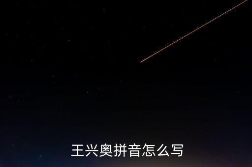  王興奧拼音怎么寫(xiě)