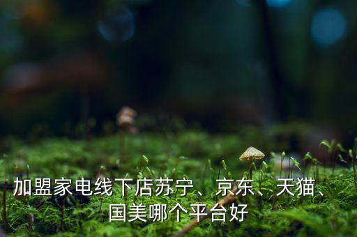 加盟家電線下店蘇寧、京東、天貓、 國美哪個平臺好