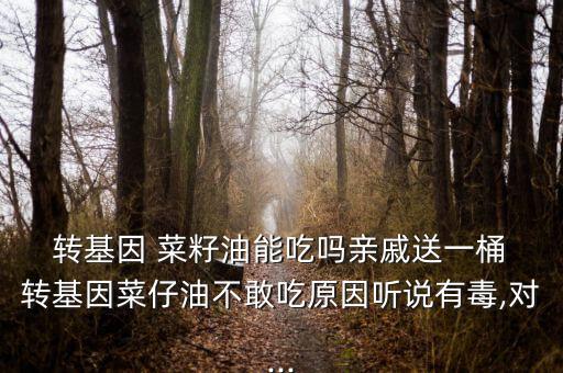  轉(zhuǎn)基因 菜籽油能吃嗎親戚送一桶 轉(zhuǎn)基因菜仔油不敢吃原因聽(tīng)說(shuō)有毒,對(duì)...