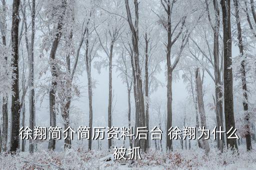 徐翔是怎么回事,徐翔、王偉、犯受賄罪被判入獄五年半