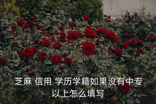 芝麻信用分學歷怎么填,芝麻信用如何完成評分學歷資訊