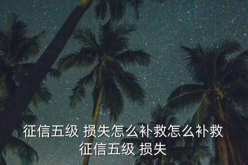  征信五級 損失怎么補(bǔ)救怎么補(bǔ)救 征信五級 損失