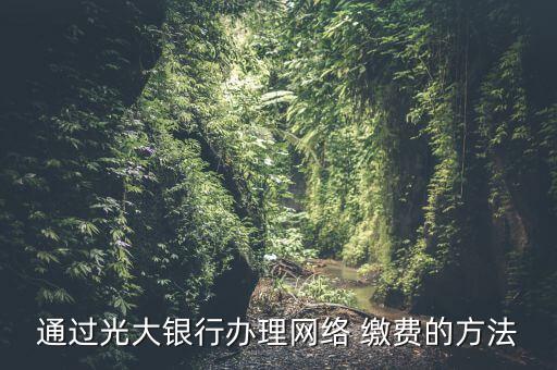 通過光大銀行辦理網絡 繳費的方法