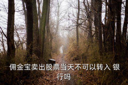  傭金寶賣(mài)出股票當(dāng)天不可以轉(zhuǎn)入 銀行嗎