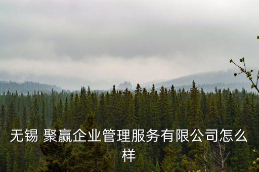 無(wú)錫 聚贏企業(yè)管理服務(wù)有限公司怎么樣