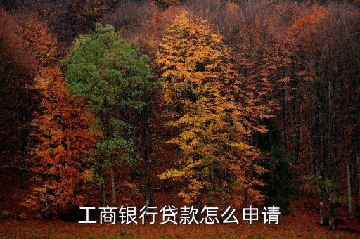 工行怎么貨款,工行網(wǎng)貸可查看貸款類(lèi)型申請(qǐng)條件不同