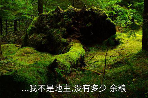 余糧怎么花,農村剩余糧有何來頭?