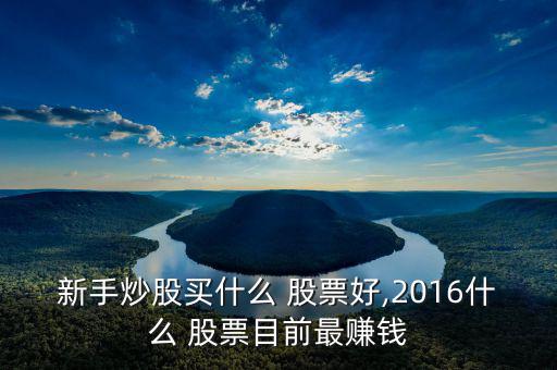 新手炒股買(mǎi)什么 股票好,2016什么 股票目前最賺錢(qián)