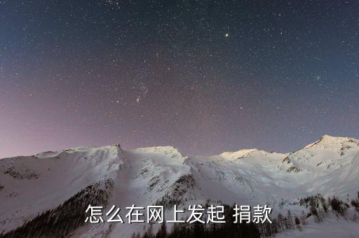 天津市手機(jī)怎么捐款,點(diǎn)擊捐款項(xiàng)目按鈕完成捐贈
