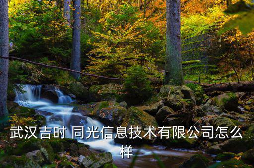 武漢吉時 同光信息技術有限公司怎么樣