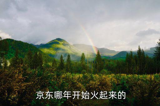  京東哪年開始火起來(lái)的