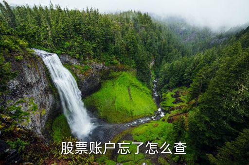 怎么查證券賬號(hào),如何在平安證券查詢(xún)資金賬號(hào)?