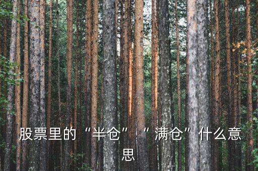  股票里的“半倉(cāng)”“ 滿(mǎn)倉(cāng)”什么意思