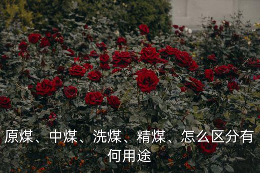 原煤、中煤、洗煤、精煤、怎么區(qū)分有何用途