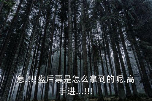 急.!!!盤后票是怎么拿到的呢.高手進...!!!