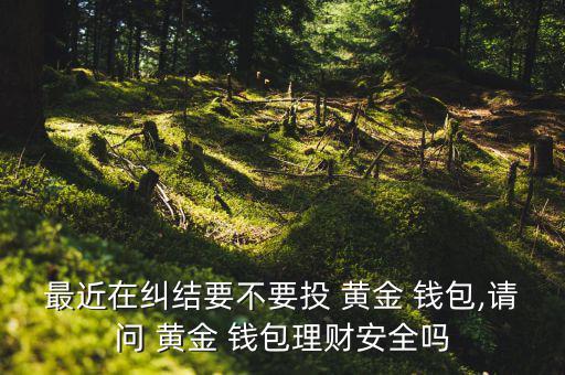 最近在糾結(jié)要不要投 黃金 錢(qián)包,請(qǐng)問(wèn) 黃金 錢(qián)包理財(cái)安全嗎