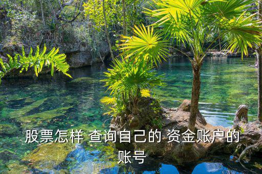 怎么查詢(xún)股票資金賬號(hào),股東賬號(hào)與資金賬號(hào)不同!