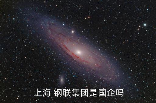  上海 鋼聯集團是國企嗎
