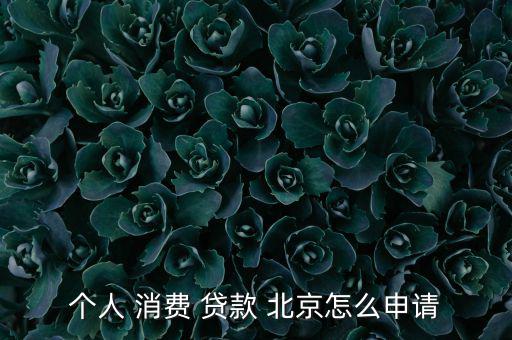 北京消費貸款怎么貸,消費貸款流程