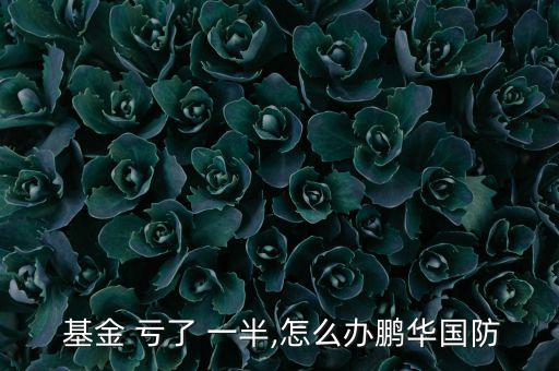 基金買(mǎi)了就虧了一半怎么辦,投資理財(cái)在線｜羅清全】一文讀懂!