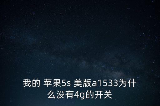 我的 蘋果5s 美版a1533為什么沒有4g的開關