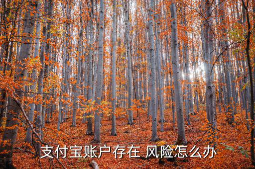  支付寶賬戶存在 風險怎么辦