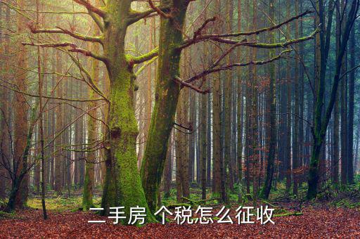 二手房個稅怎么避稅,二手房轉(zhuǎn)讓按地稅指導價收取稅款