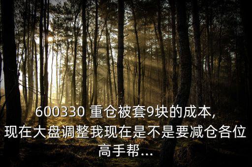 600330 重倉被套9塊的成本,現在大盤調整我現在是不是要減倉各位高手幫...
