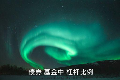 杠桿債券基金收益怎么算,誰(shuí)說股票基金必須加杠桿?看這里!