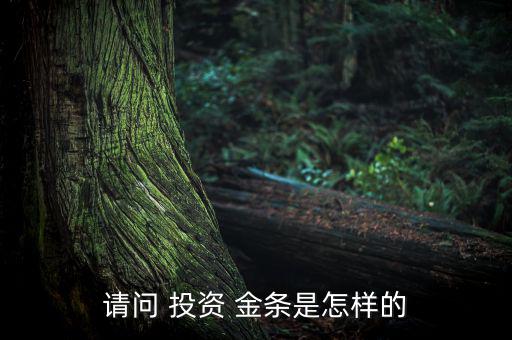 請(qǐng)問 投資 金條是怎樣的